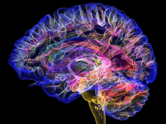 操老屄视频大脑植入物有助于严重头部损伤恢复